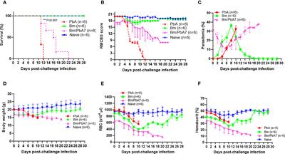 Babesia microti alleviates disease manifestations caused by Plasmodium berghei ANKA in murine co-infection model of complicated malaria